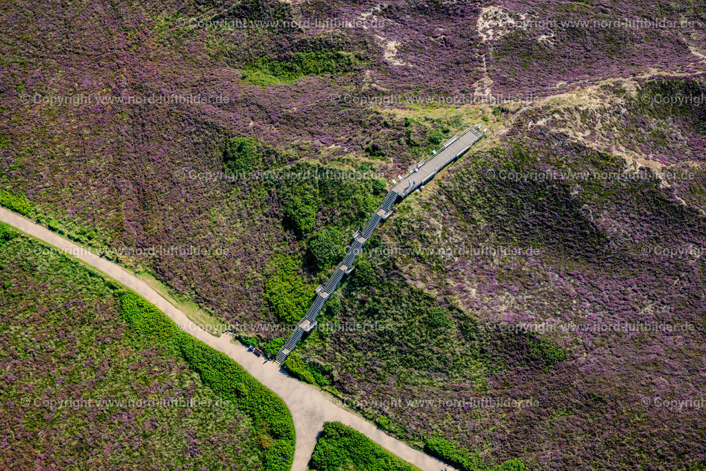 Sylt_Kampen_Uwe_Düne_Höchster_Punkt_ELS_0205130825 | KAMPEN (SYLT) 13.08.2025 Aussichtsplattform " Düne Uwe " in der Heide-Landschaft Kampen (Sylt) auf der Insel Sylt im Bundesland Schleswig-Holstein, Deutschland. // Observation platform "Duene Uwe" in the heath landscape of Kampen (Sylt) on the island of Sylt in the federal state of Schleswig-Holstein, Germany. Foto: Martin Elsen
