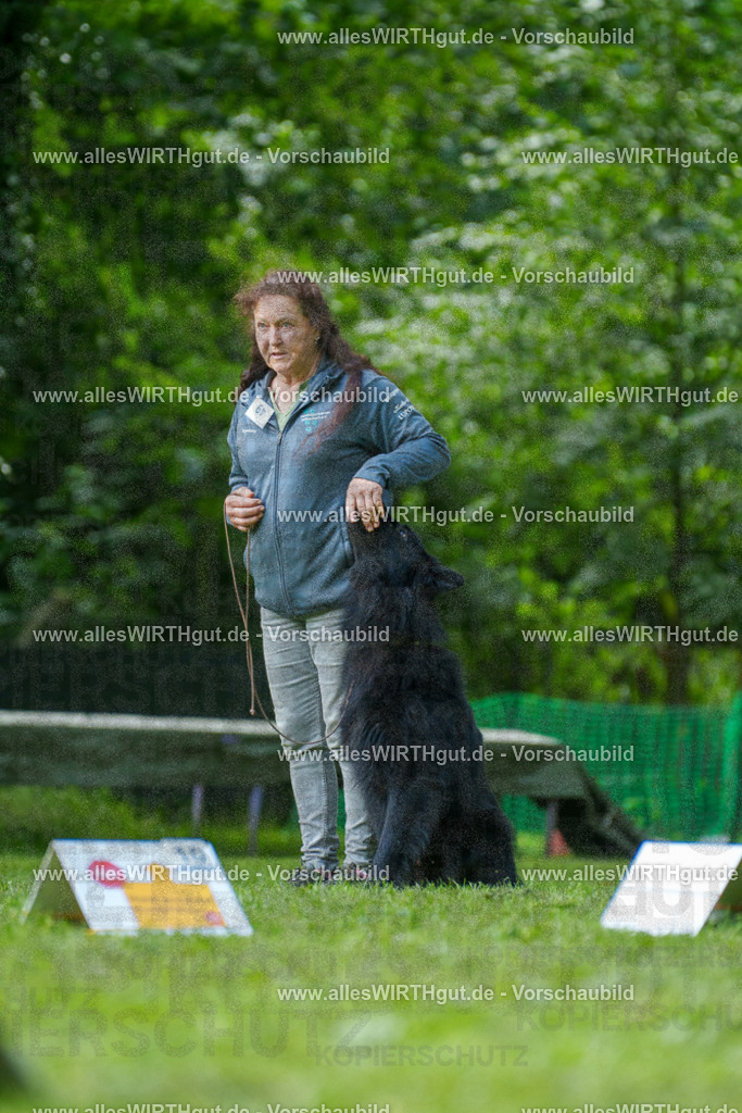 @allesWIRTHgut_Tierfotografie - www.allesWIRTHgut.de - 7R505723 | Professionelle Tierfotografie in Mönchengladbach von Daniel Wirth (allesWIRTHgut). Liebevolle & natürliche Bilder von Hunden & Katzen für unvergessliche Erinnerungen.