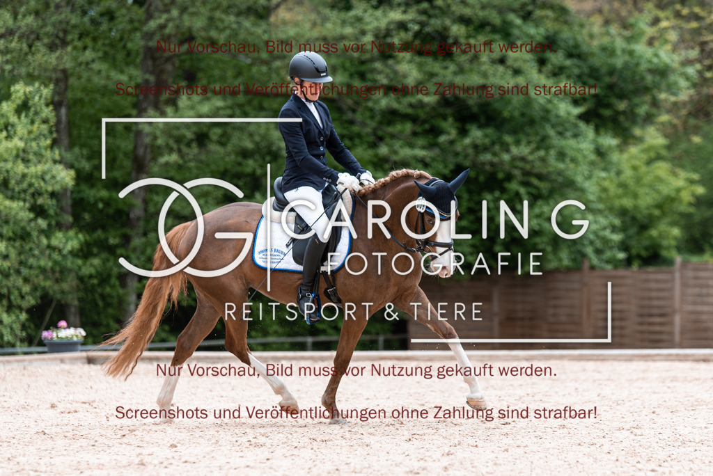 DSC_6760 | Turnierfotografin Carolin Gieschke,Reitsport Turnierfotografie Carolin G Fotografie | Turnierfotos aus Kirchheim/Teck, Esslingen, Stuttgart und dem Bodenseekreis