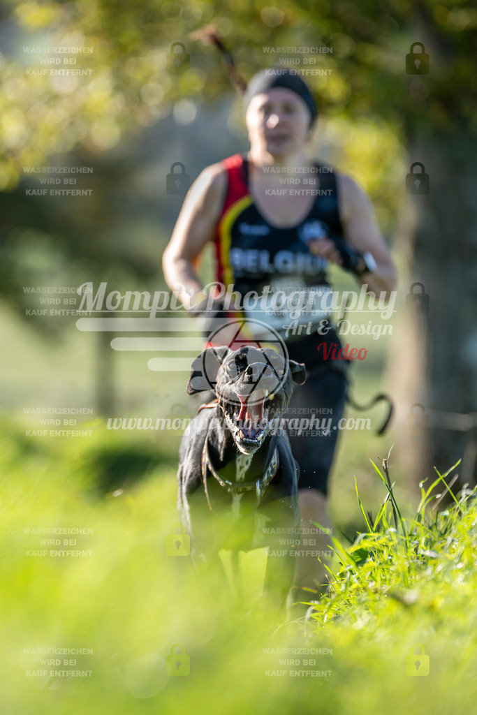 MompixPhotography_20TSB_E3_Run-115 | PayLife