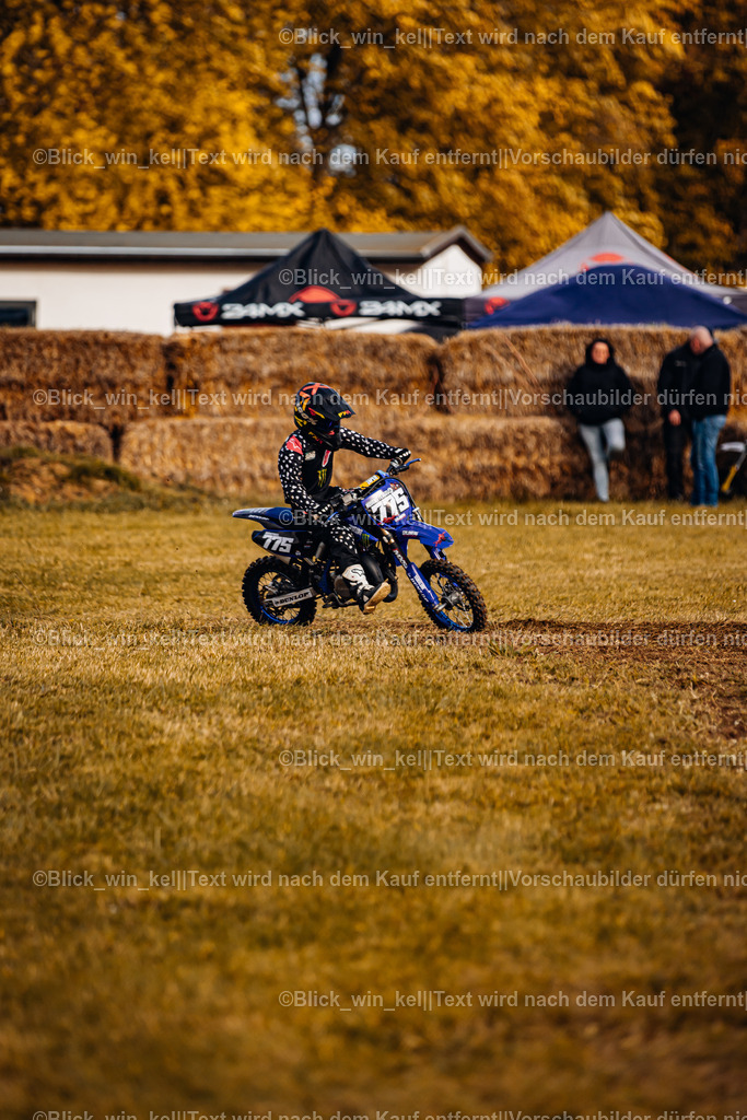 E68A1082 | blick_win_kel