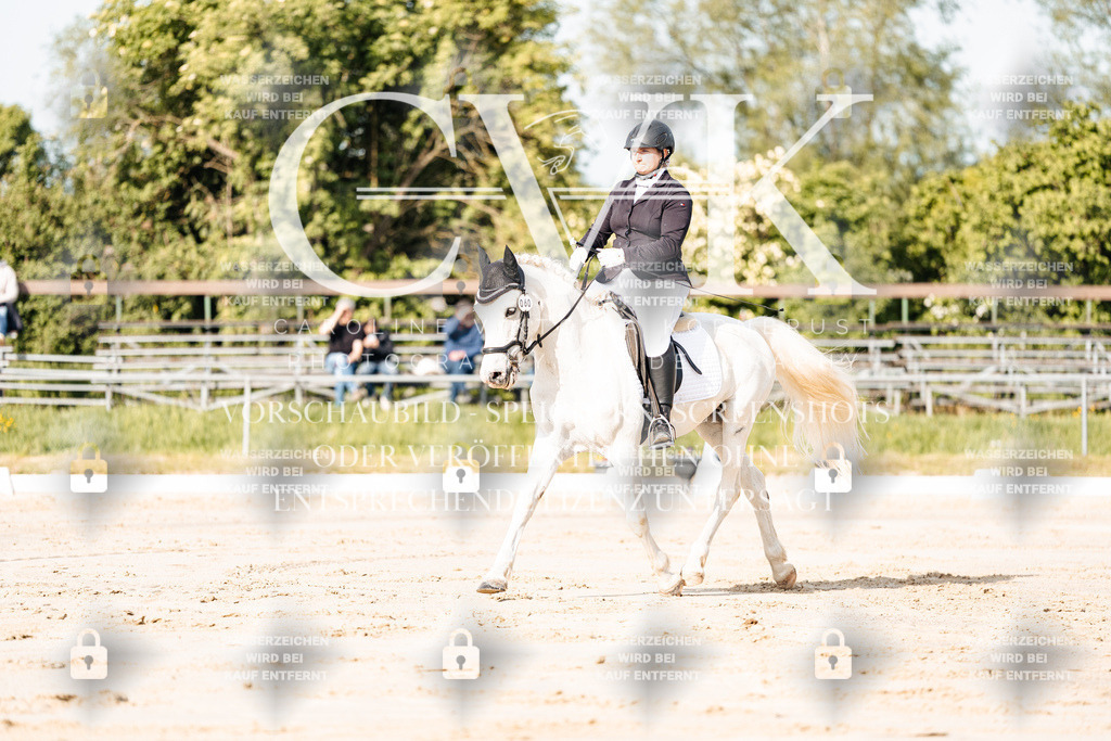 CK900050 | Turnierfotografie Pferdefotografie Trier Rheinland-Pfalz Pferdesport Reitsport Tierfotografie Sportfotografie Pferdevideo Pferdevideografie Equestrianvideography equestrianphotography  - Realisiert mit Pictrs.com
