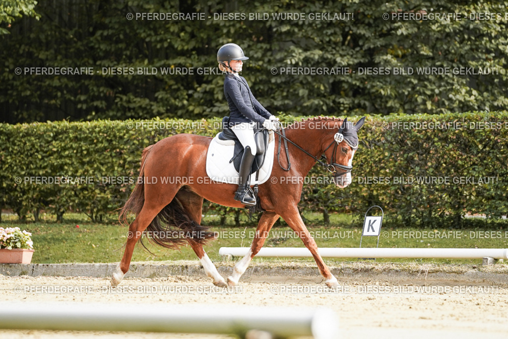 DSC05875 | Pferdegrafie