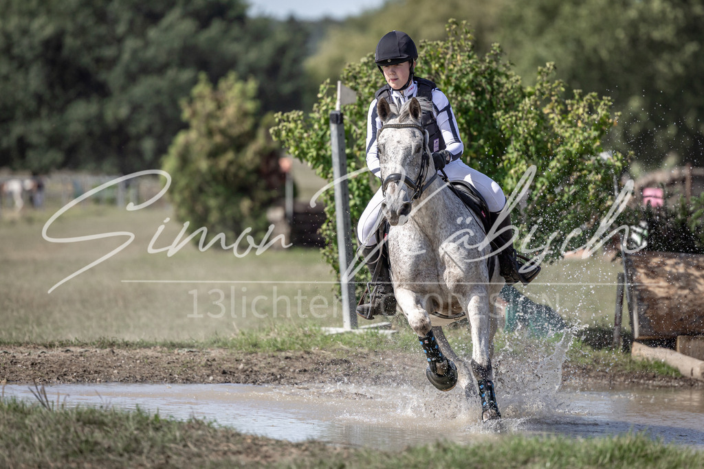 20250907-_3LI9967 | Tierfotografie Pferde, Hunde, Katzen, Haustiere.
Turnierfotografie Reitturniere, Reiten, Springreiten, Dressur in Hanau, dem Main-Kinzig-Kreis und dem Rhein-Main- Gebiet um Frankfurt