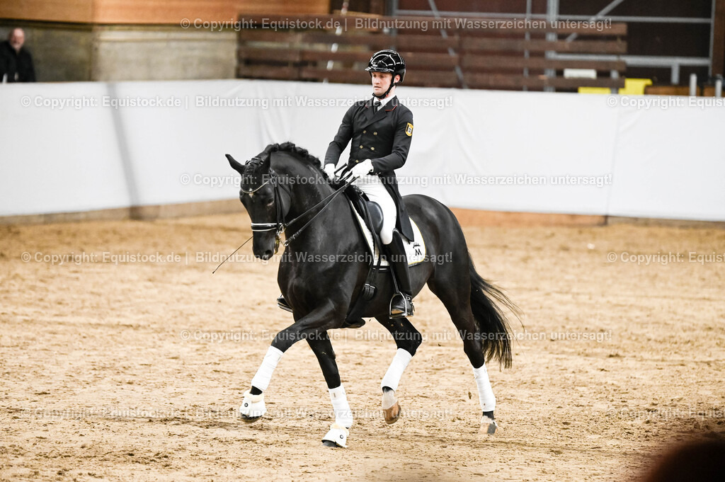 20260307_Hengstvorstellung-Marbach_0270 | equistock