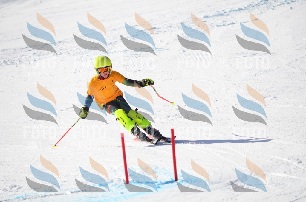 C6448 | holidayphoto