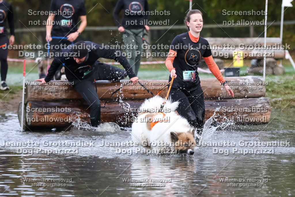 Dog Paparazzi - Strongdog 10-25-6204 | Dog Paparazzi Jeanette Grottendiek Fotografie & Videografie - Realisiert mit Pictrs.com