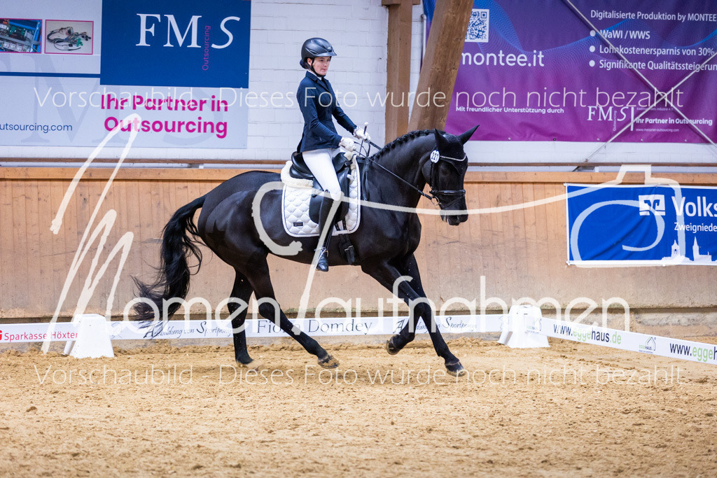 Sth-A-Dre-2St-119 | MomenTaufnahmen Pferdesportfotos