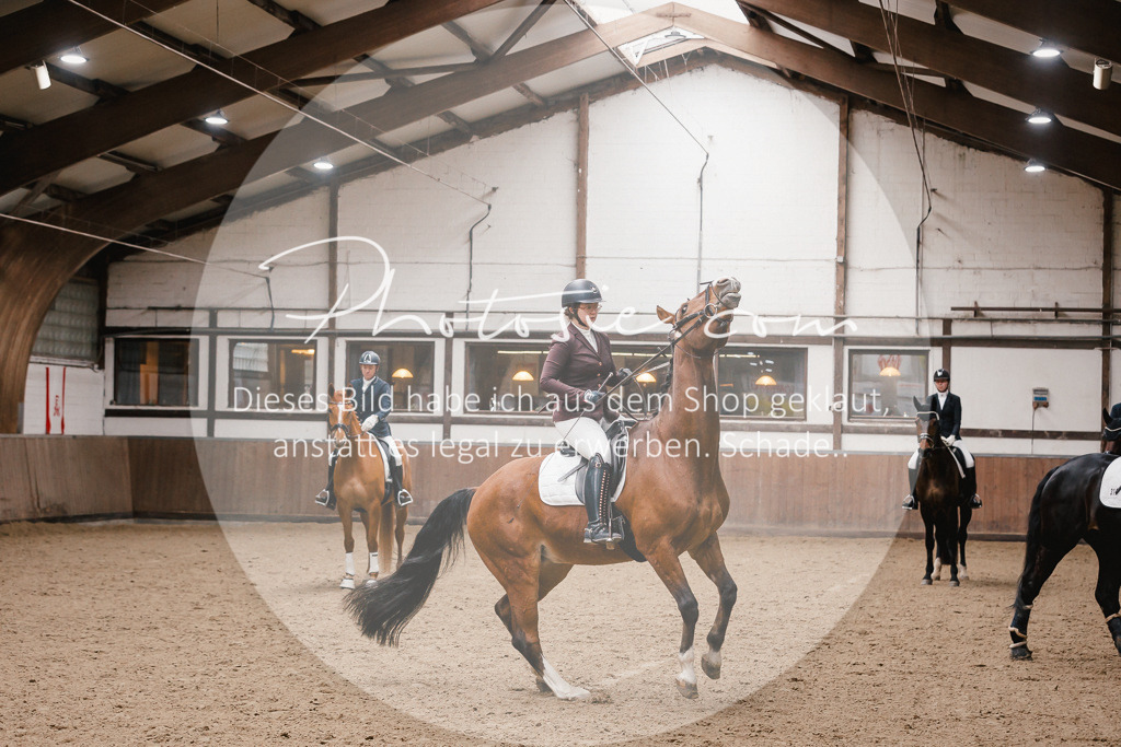 3I6A6937 | Stimmungsvolle Portraits und Reitsportfotografie im Ruhrgebiet und im Münsterland.

Pferdefotografie, Hundefotografie, Tierfotografie, Reportagen, Portraits von Tier und Mensch, Turnierfotografie in Bochum, Recklinghausen, Marl, Haltern am See, Dülmen.. - Realisiert mit Pictrs.com