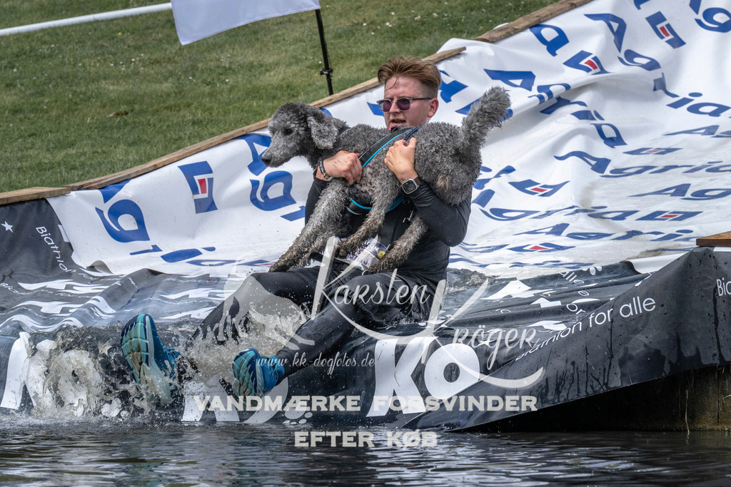 1134_ZZ92969 | kk-dogfotos
