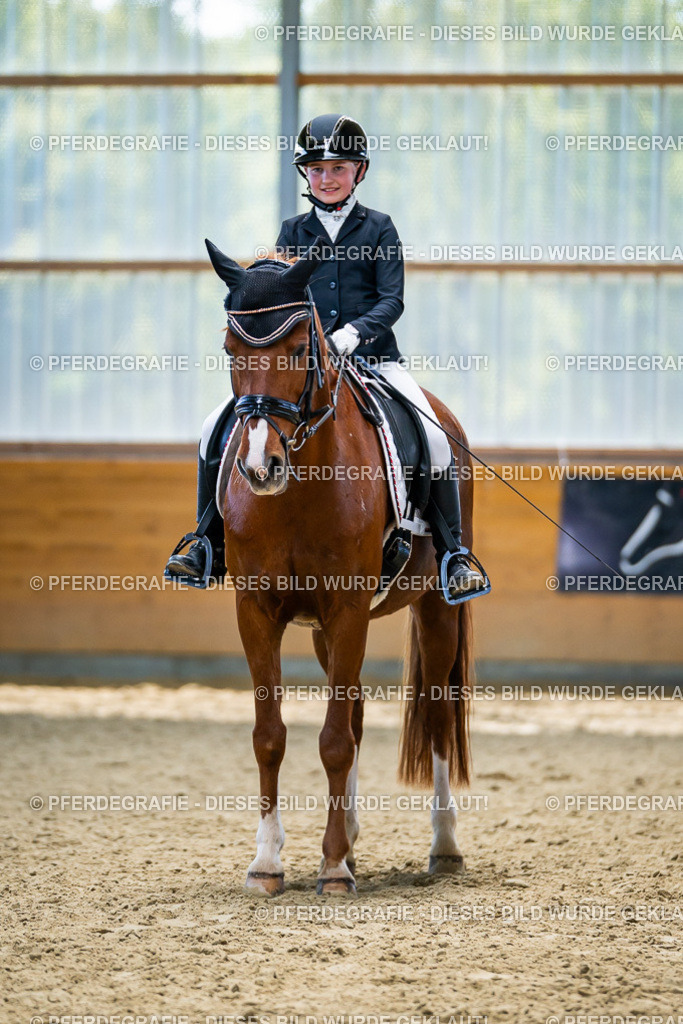 DSC05288 | Pferdegrafie