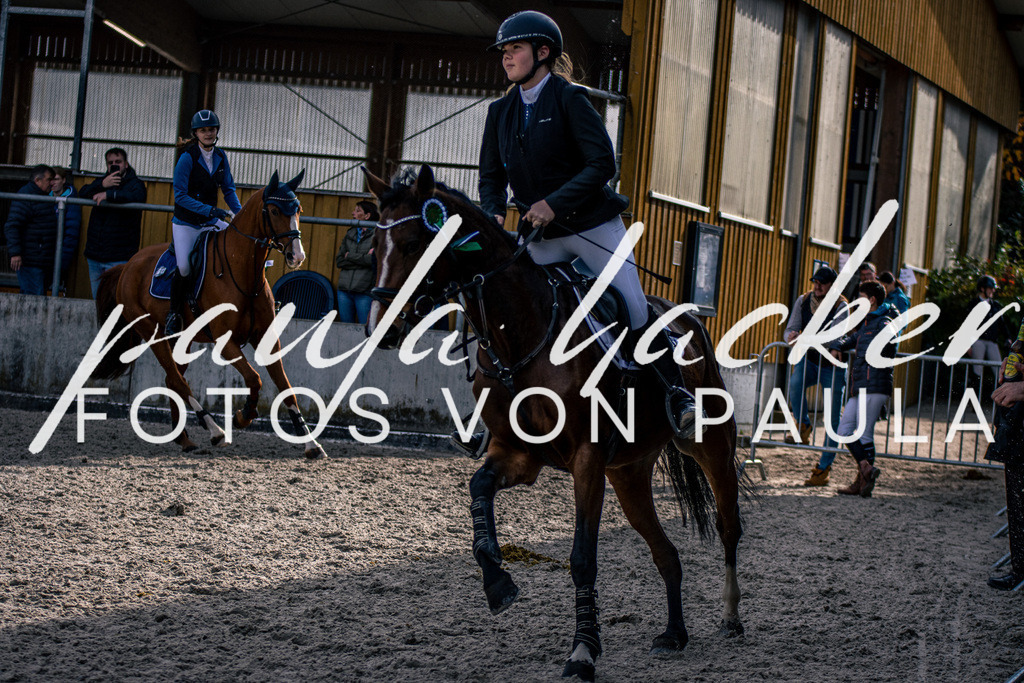 IMG_5653 | Erleben Sie dynamische Sport- und emotionale Tierfotografie in Süddeutschland mit Fotos von Paula. Spezialisiert auf Pferde- und Hundefotografie sowie Sportevents. Kontaktieren Sie mich für einzigartige und ausdrucksstarke Bilder Ihrer besonderen Momente. - Realisiert mit Pictrs.com