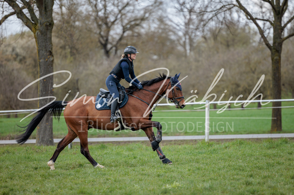 20260329-_3LI5479 | Tierfotografie Pferde, Hunde, Katzen, Haustiere.
Turnierfotografie Reitturniere, Reiten, Springreiten, Dressur in Hanau, dem Main-Kinzig-Kreis und dem Rhein-Main- Gebiet um Frankfurt