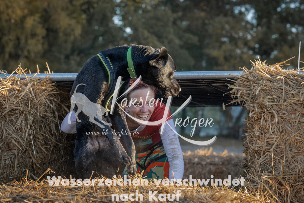0909_ZZ91692 | kk-dogfotos
