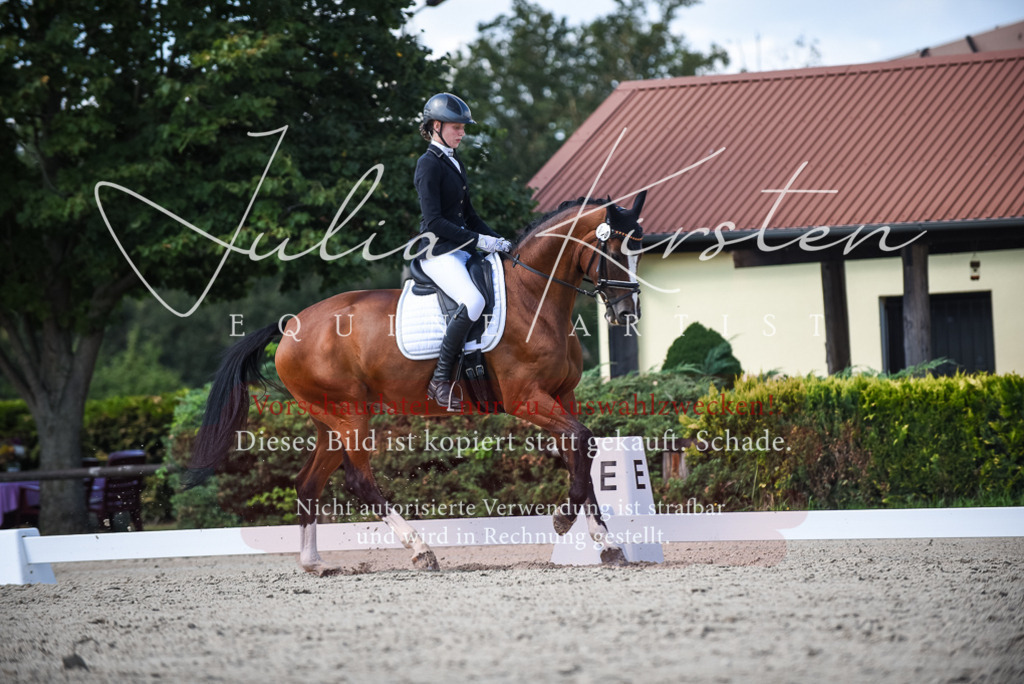 DSC_9492 | Pferde- und Turnierfotografie in Westsachsen. Pferdeportraits, Auftragszeichnungen und intuitive Kunst.