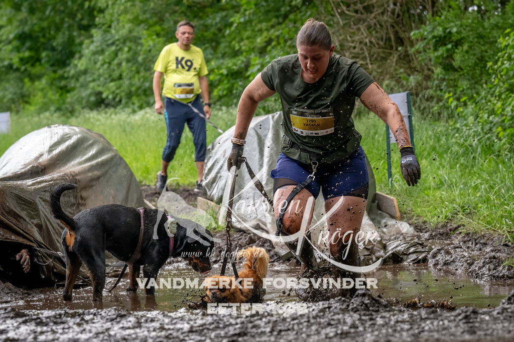 1511_ZZ92252-Bearbeitet | kk-dogfotos