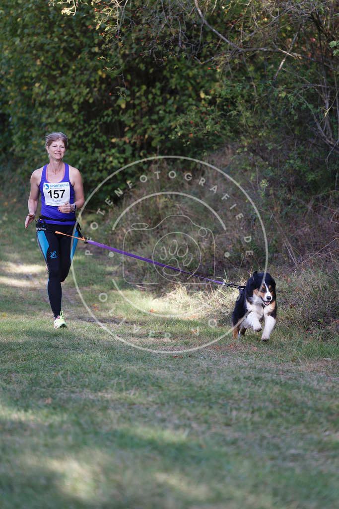 0L8A5222 | Hundefotografie, Tierfotograf, Pfotenfotografie, Fotoshooting Hund, Hunde Portrait, Hundesport, Hundeportraits, Heideshooting, Hunde, Sportfotograf, Hundefotograf, Turnierhundsport, THS,  - Realisiert mit Pictrs.com