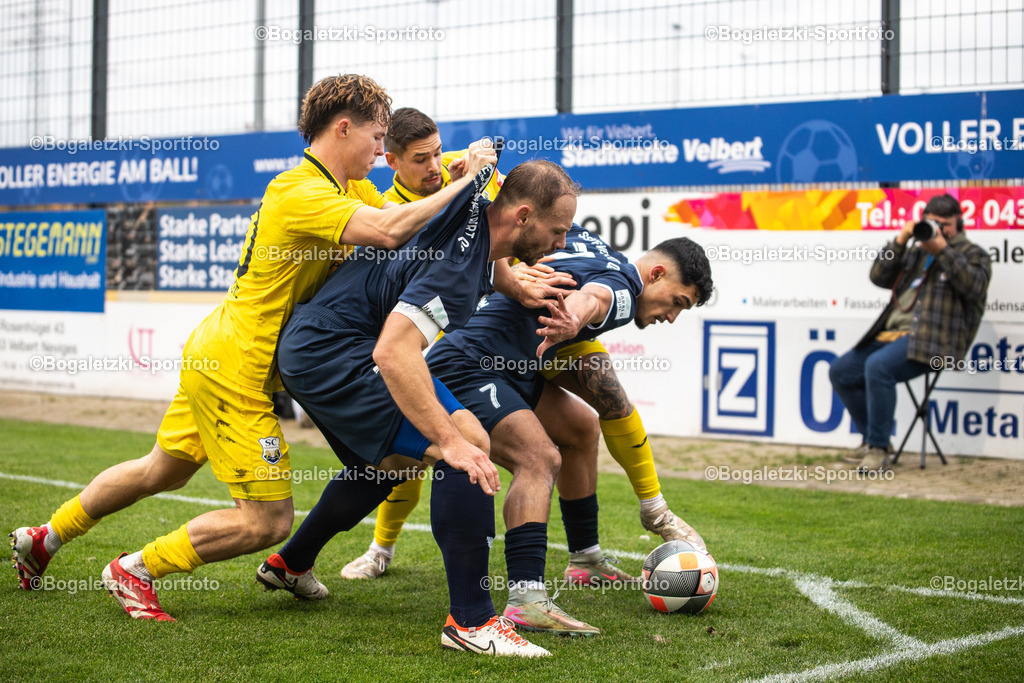 Fußball oder Rugby? | 08.11.2025, Fußball, Regionalliga West, SSVg Velbert - SC Wiedenbrück: Baran Seker (SSVg Velbert #7) und Felix Herzenbruch (SSVg Velbert #3) schirmen den Ball vor Konstantin Gerhardt (SC Wiedenbrück #20) und Daniel Sanchez Ruiz Diaz (SC Wiedenbrück #33) ab - Realisiert mit Pictrs.com