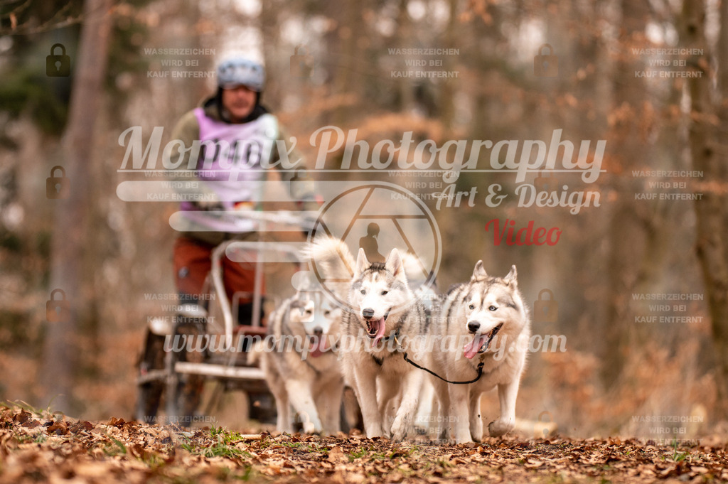 AKM_ST_2023_SAM_DR4-41 | PayLife