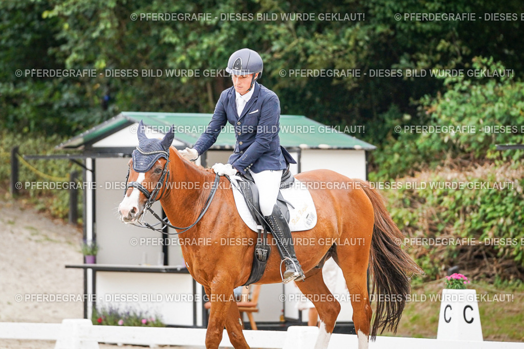 DSC08522 | Pferdegrafie