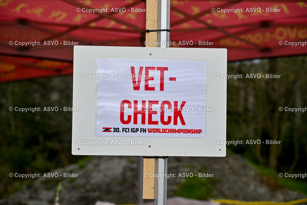 ASVÖ_ Tracking Dog World Championship 2025_ 31.03.2025-13 | 31.03.2025, AUT, ASVÖ, Tracking Dog World Championship // FCI IGP Fährtenhundeweltmeisterschaft 2025©fodo.media / Harald Dostal - Realisiert mit Pictrs.com