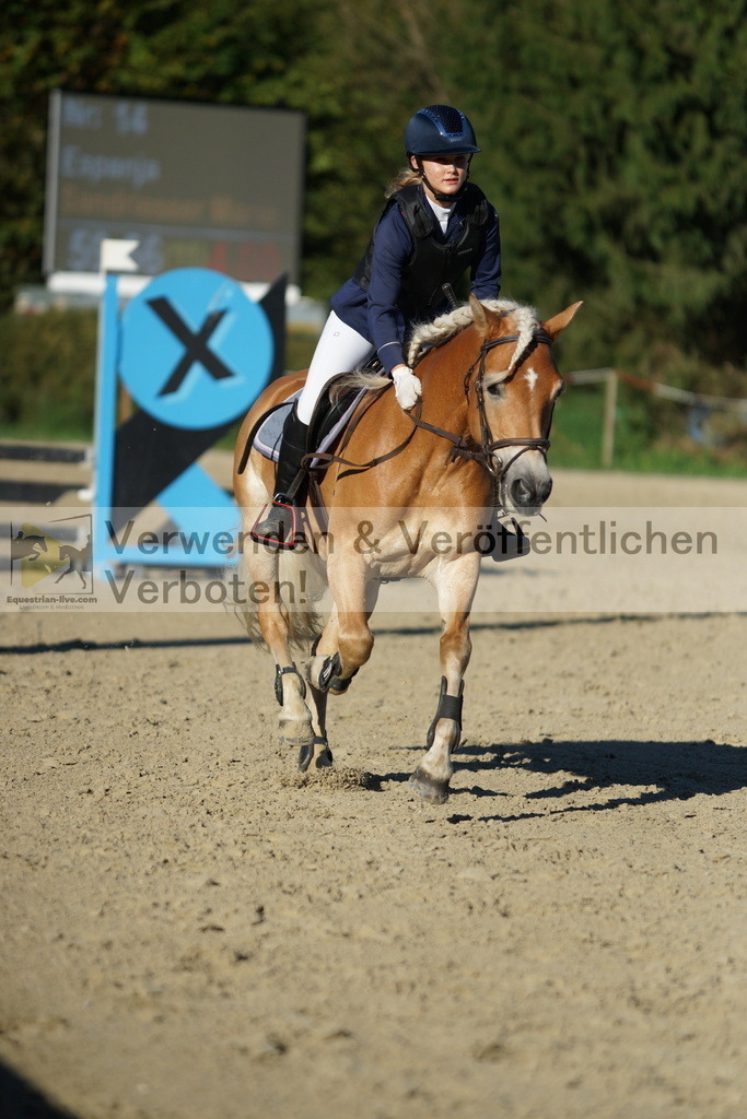 DSC08165 | equestrian-live-com