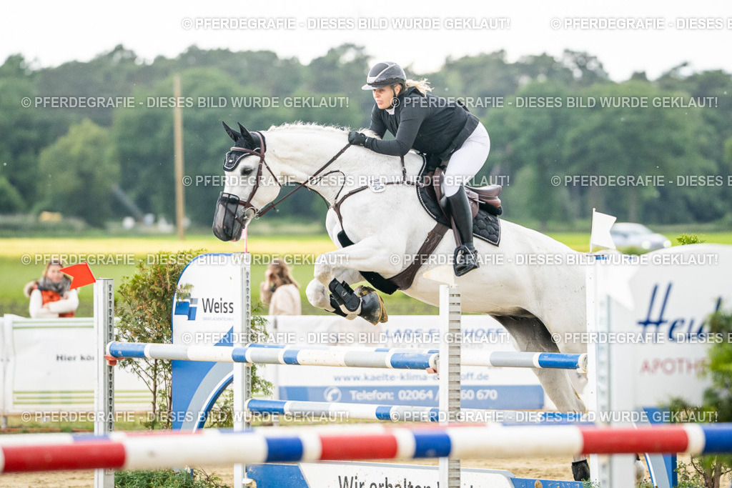 DSC06665 | Pferdegrafie