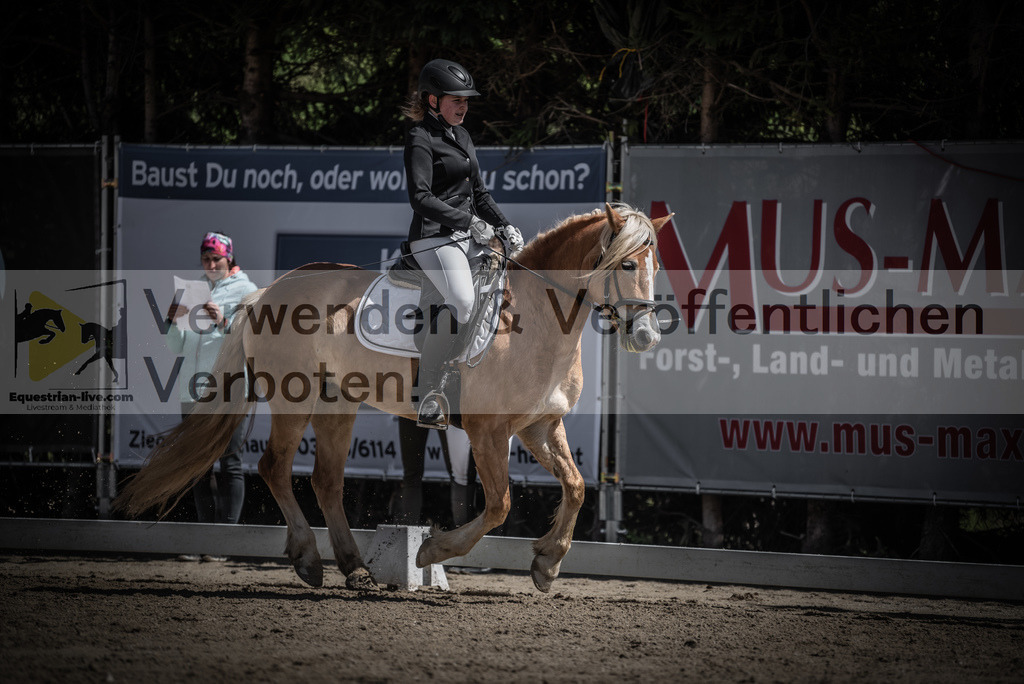 DSC_0685 | equestrian-live-com