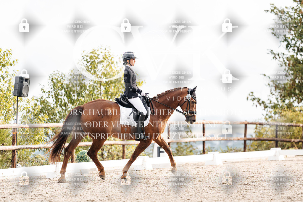 CK900761 | Turnierfotografie Pferdefotografie Trier Rheinland-Pfalz Pferdesport Reitsport Tierfotografie Sportfotografie Pferdevideo Pferdevideografie Equestrianvideography equestrianphotography  - Realisiert mit Pictrs.com