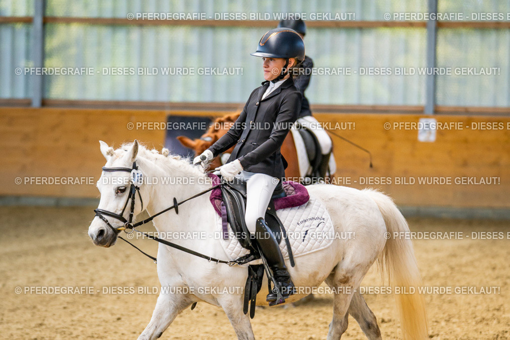 DSC03459 | Pferdegrafie