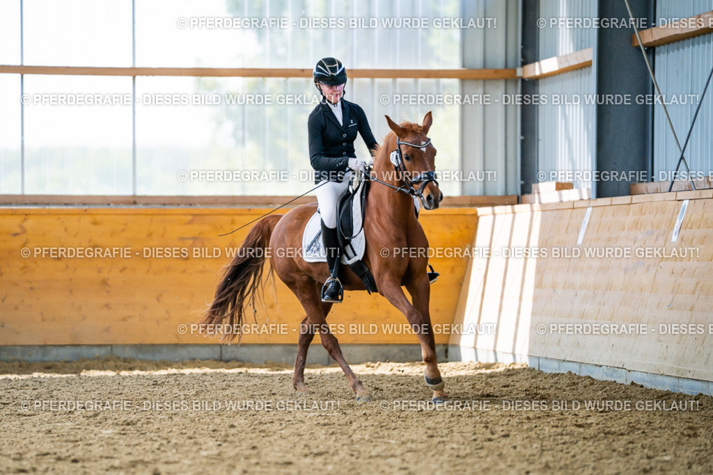 DSC05252 | Pferdegrafie