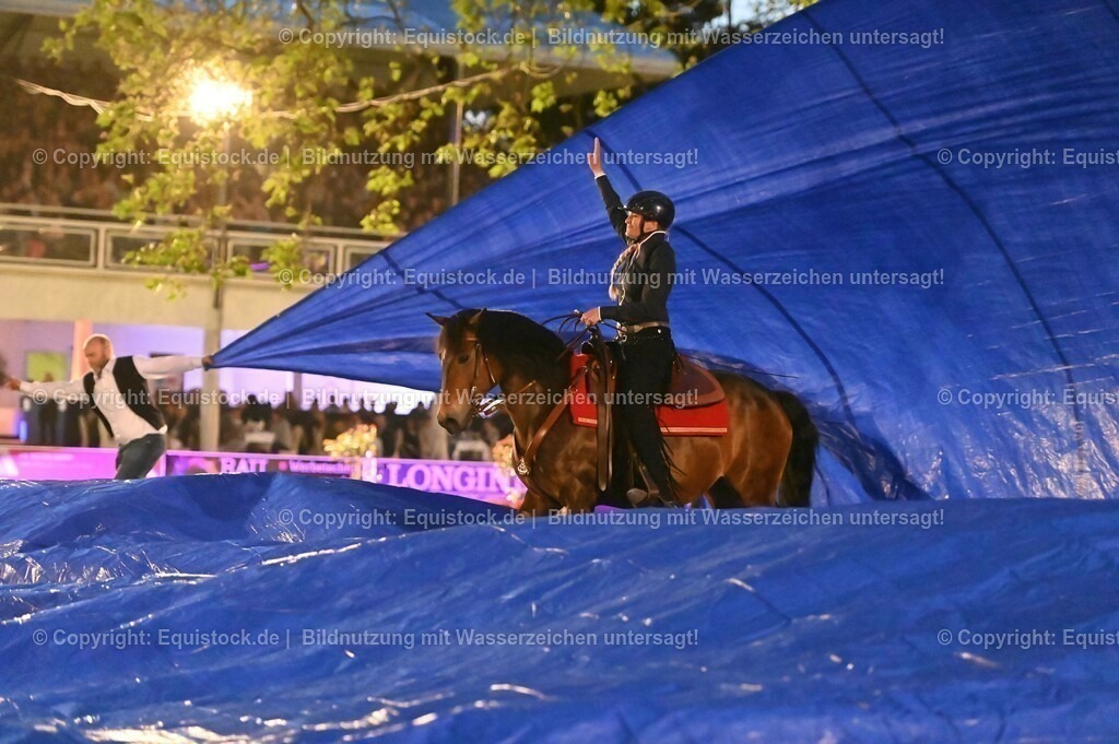 20230526_Pferdenacht_1054 | equistock