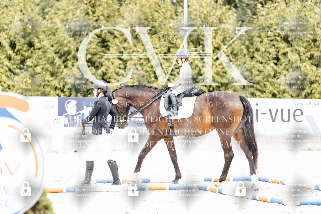 CK907077 | Turnierfotografie Pferdefotografie Trier Rheinland-Pfalz Pferdesport Reitsport Tierfotografie Sportfotografie Pferdevideo Pferdevideografie Equestrianvideography equestrianphotography  - Realisiert mit Pictrs.com