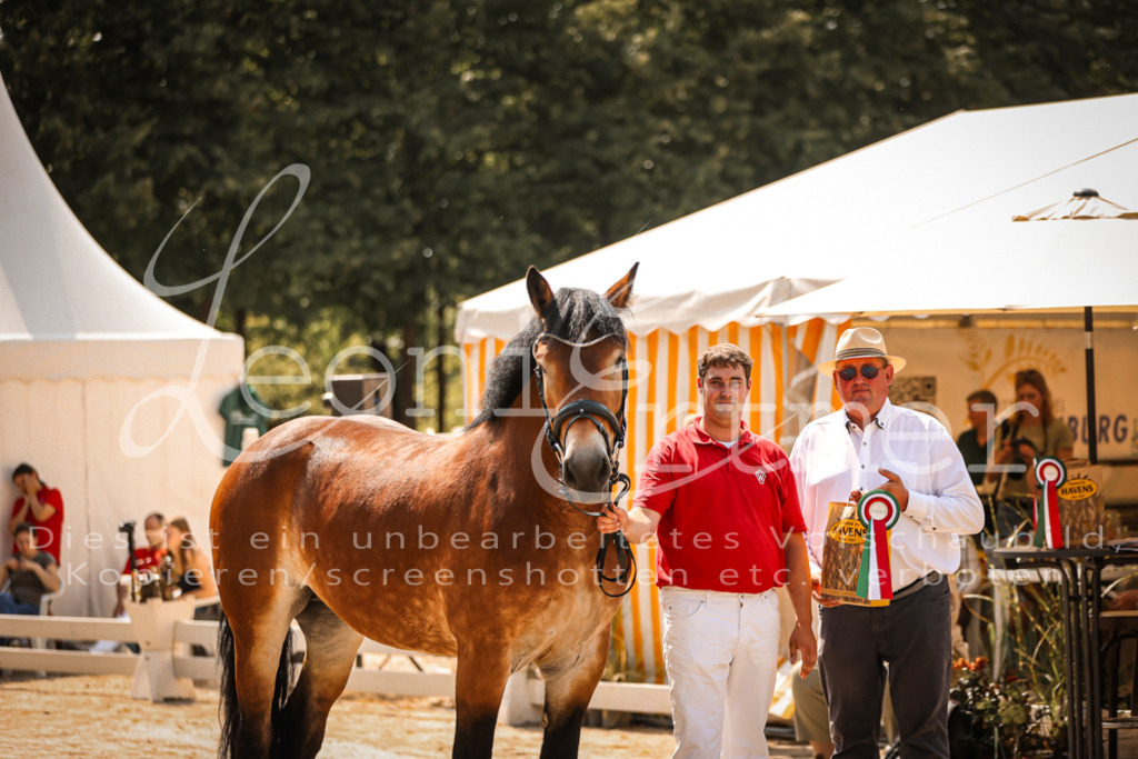 1.Sa00049 | Leoni Ertmer Photography - Realisiert mit Pictrs.com