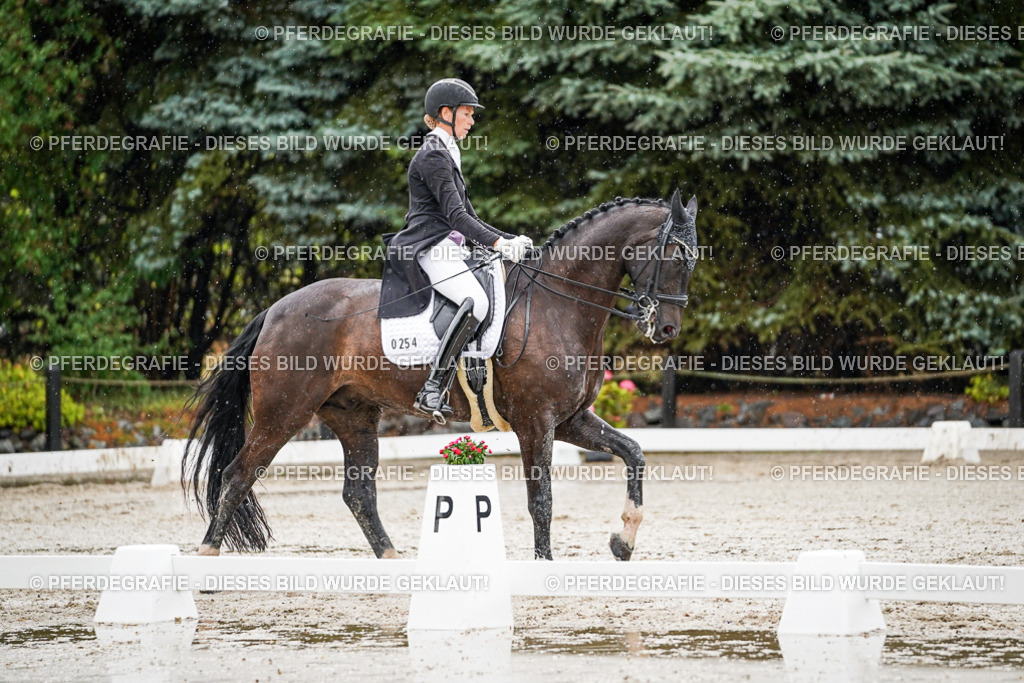 DSC08892 | Pferdegrafie