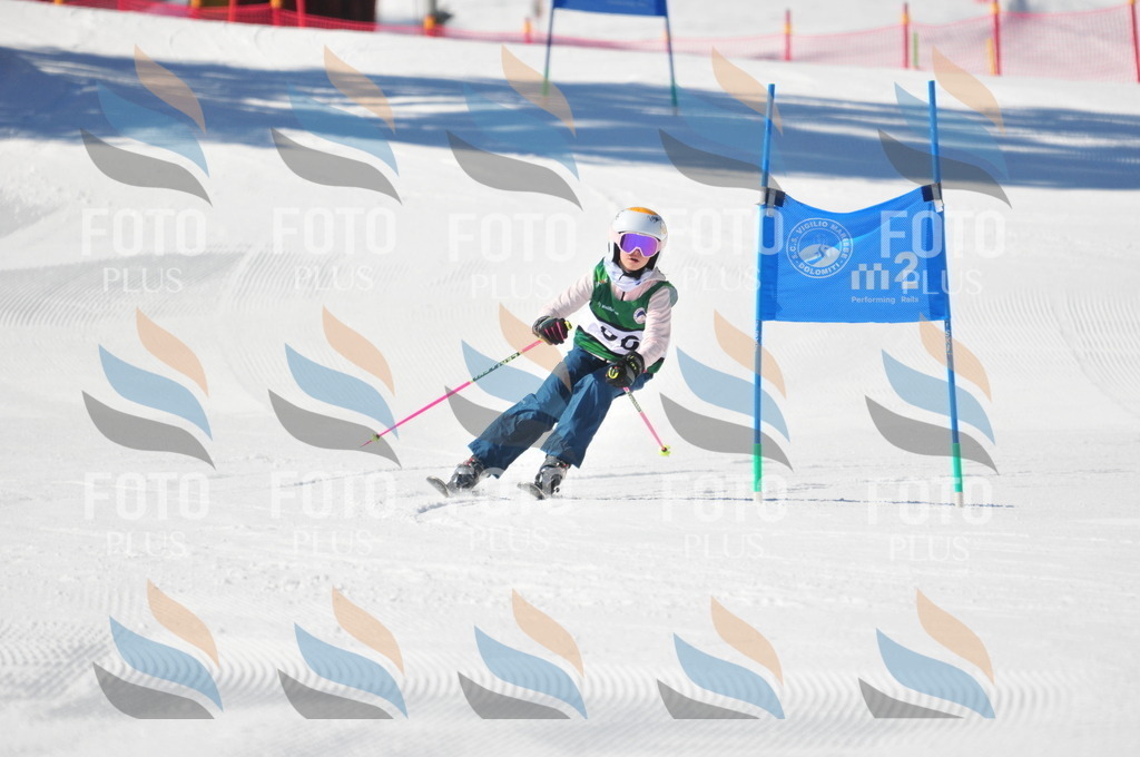 C3232 | holidayphoto