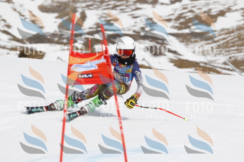 _U3G2854 | holidayphoto