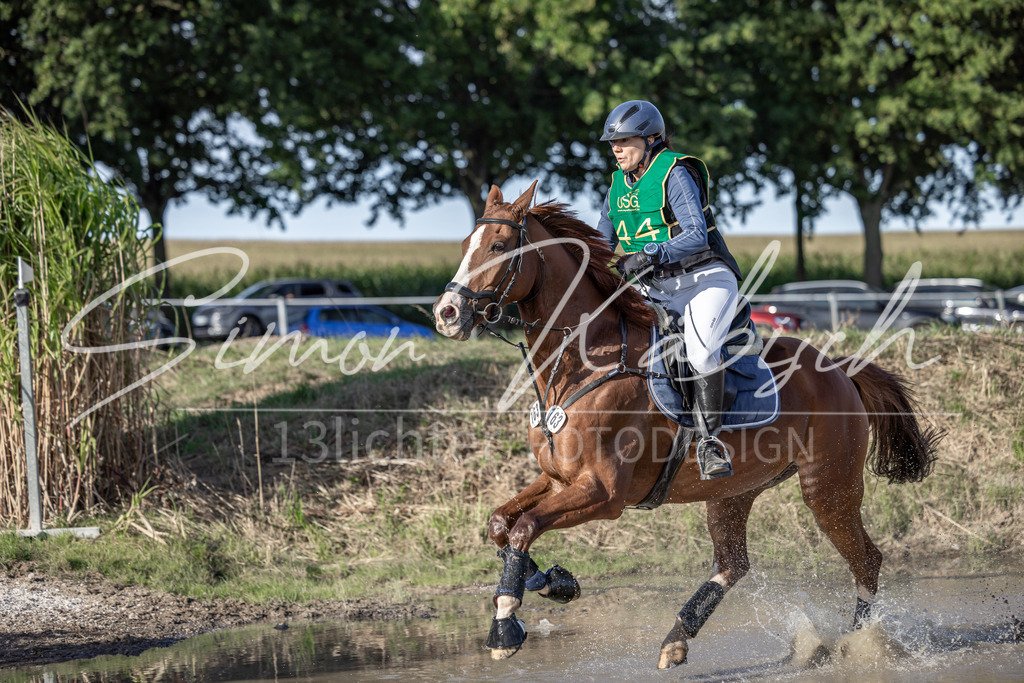 20250907-_3LI4529 | Tierfotografie Pferde, Hunde, Katzen, Haustiere.
Turnierfotografie Reitturniere, Reiten, Springreiten, Dressur in Hanau, dem Main-Kinzig-Kreis und dem Rhein-Main- Gebiet um Frankfurt