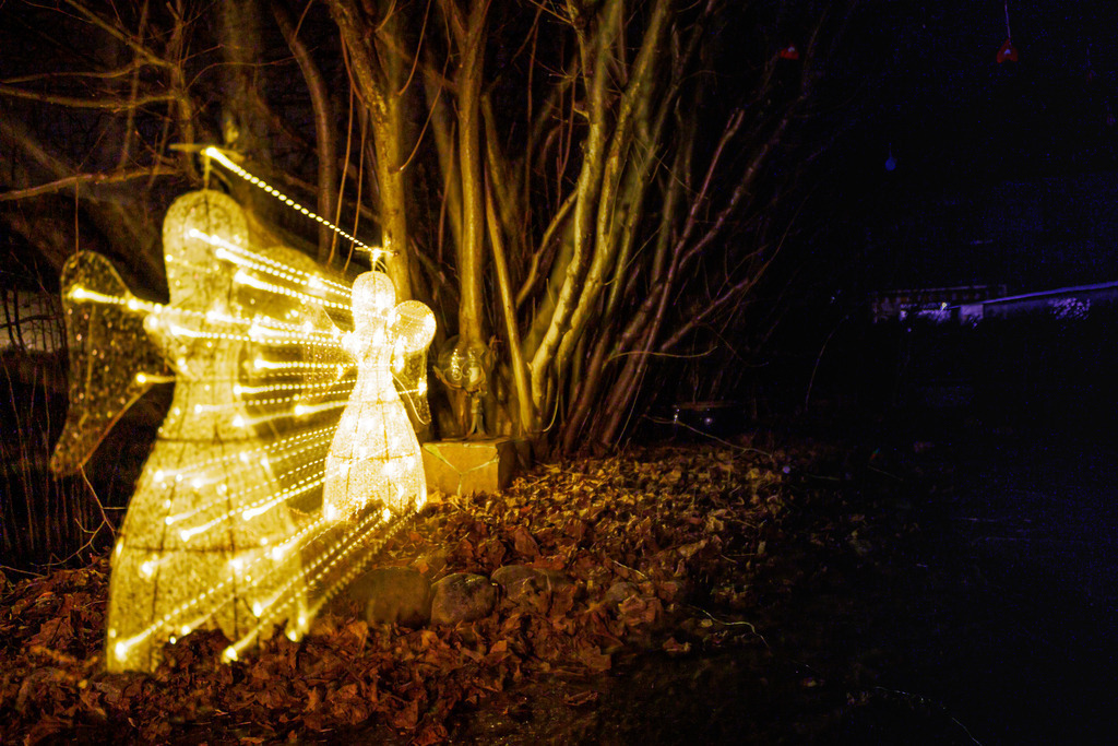 IMG_3335-1_1 | strauss_fotografie - Realisiert mit Pictrs.com