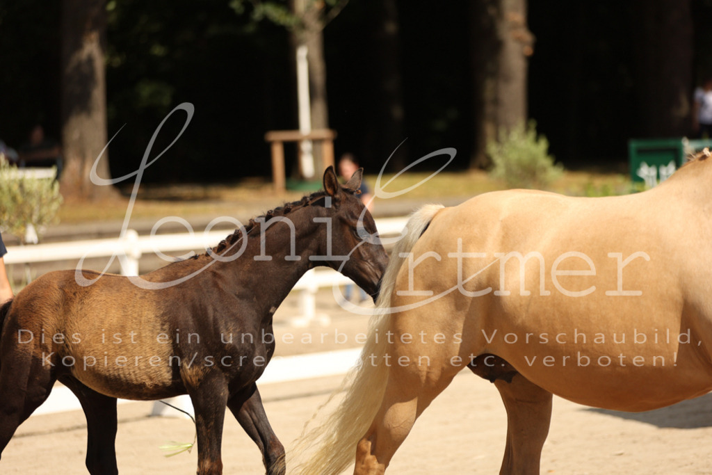 08.DoRPS00037 | Leoni Ertmer Photography - Realisiert mit Pictrs.com