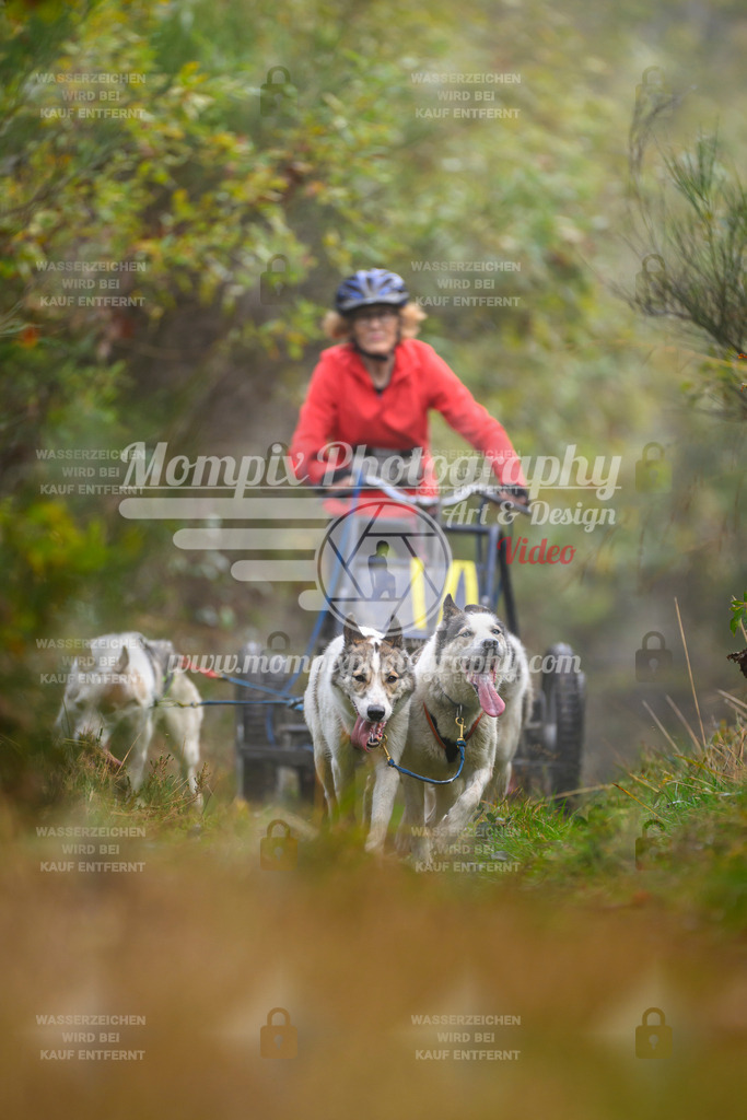 MompixPhotography_20TSB_E4_Kart-25 | PayLife