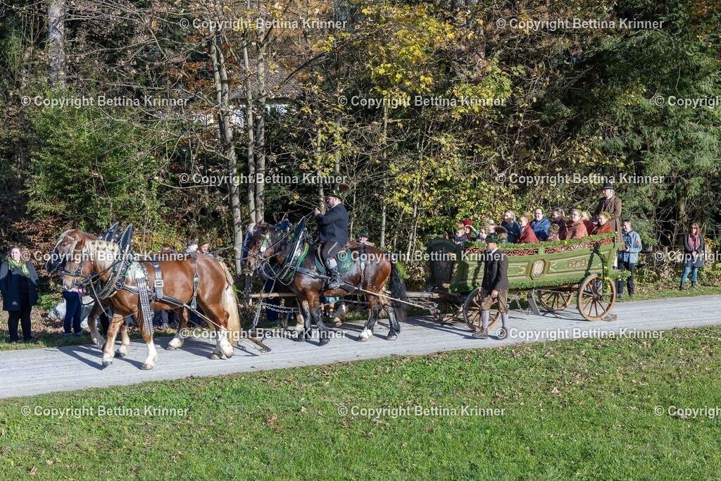 LBT24-710 | foto-bettina-krinner - Realisiert mit Pictrs.com