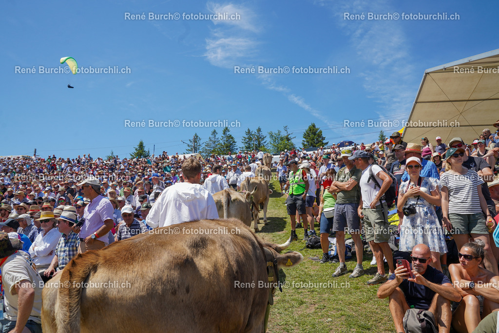DSC00661 | René Burch leidenschaftlicher Fotograf aus Kerns in Obwalden.  Hier finden sie Sport, Landschaft und Natur Fotografie.
 - Realisiert mit Pictrs.com