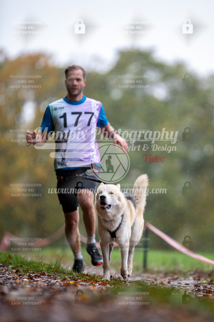 DBT_DAKM_SA_4_11_2023_Canicross-56 | PayLife