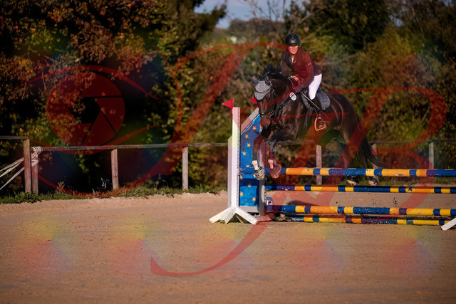2026_10_03_Siefer-Hof_171914_Z81_17348674 | Professionelle Reitsport-, Turnier- und Eventfotografie von Robert Broda. Galerien mit ausgewählten und bearbeiteten Bildern direkt online ansehen und bestellen.