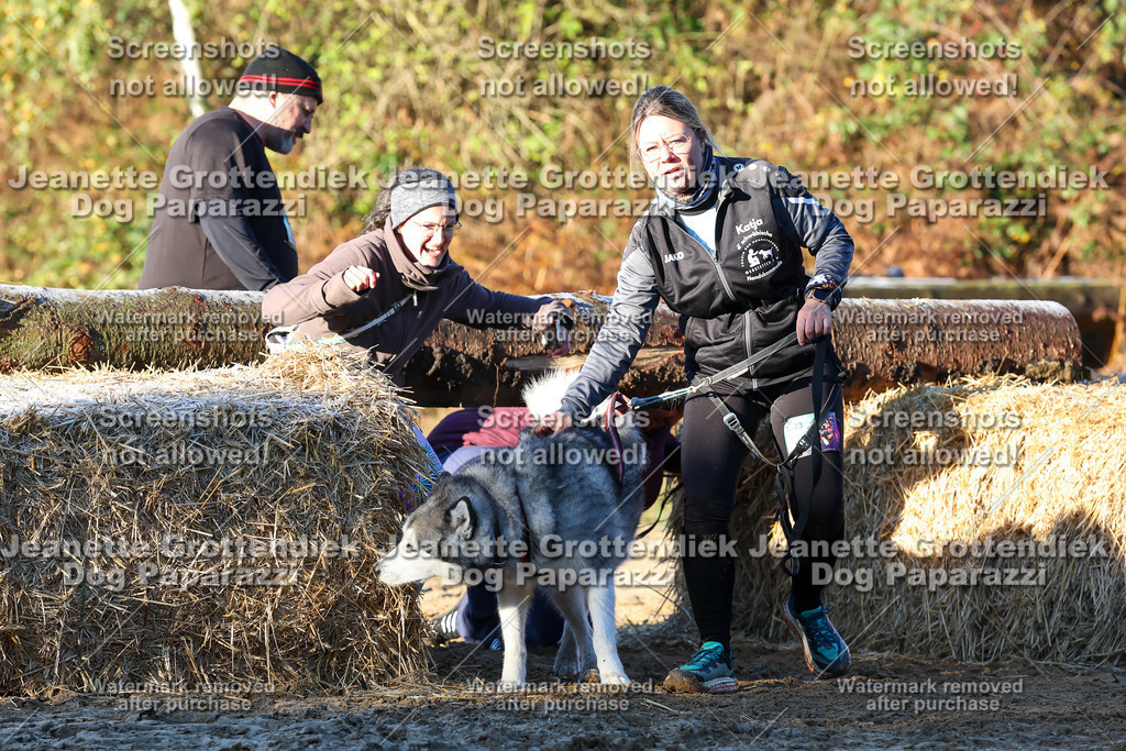 Dog Paparazzi - Strongdog 10-25-751 | Dog Paparazzi Jeanette Grottendiek Fotografie & Videografie - Realisiert mit Pictrs.com