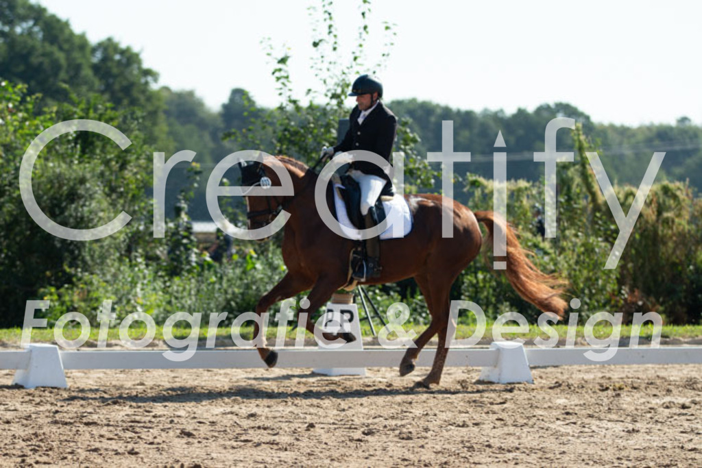 IMG_3196 | Creatify Fotografie