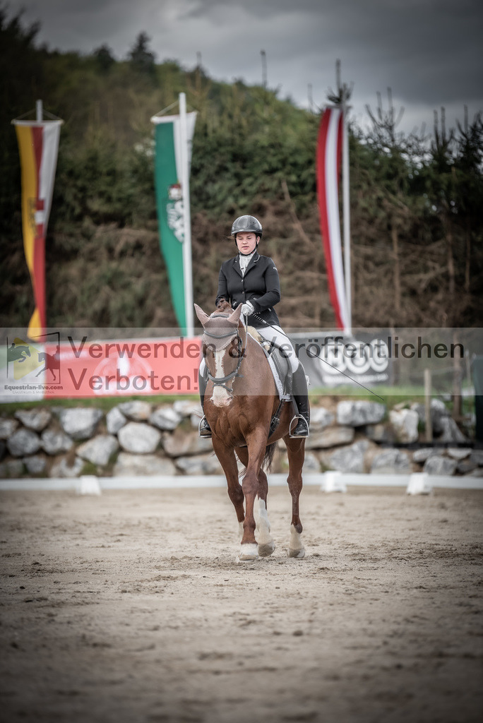 DSC_3087 | equestrian-live-com