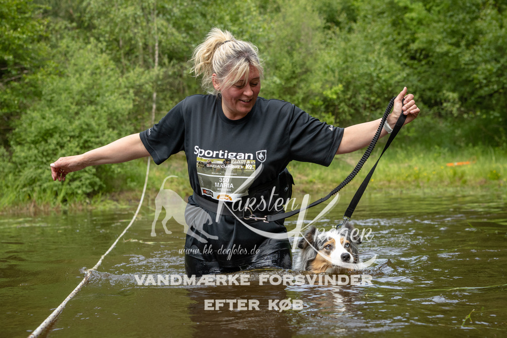 1115DKK994532 | kk-dogfotos