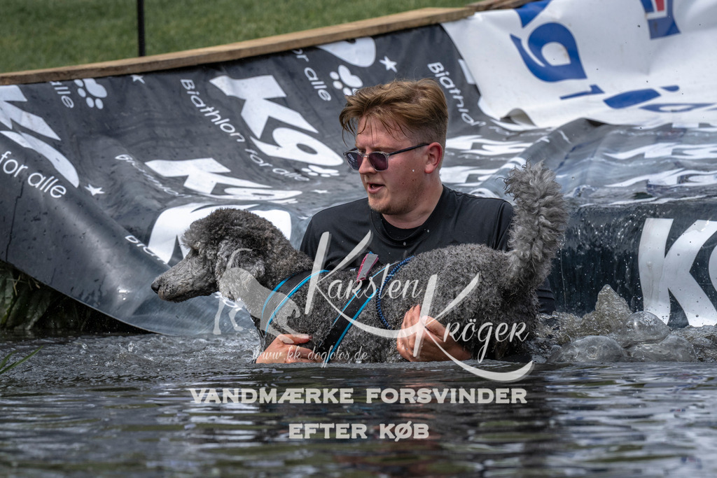 1134_ZZ92980 | kk-dogfotos